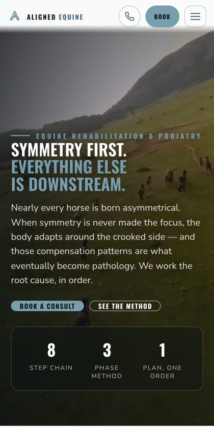The Aligned Equine website on a phone